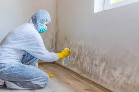 Trusted Keene, NH Mold Prevention & Removal  Experts